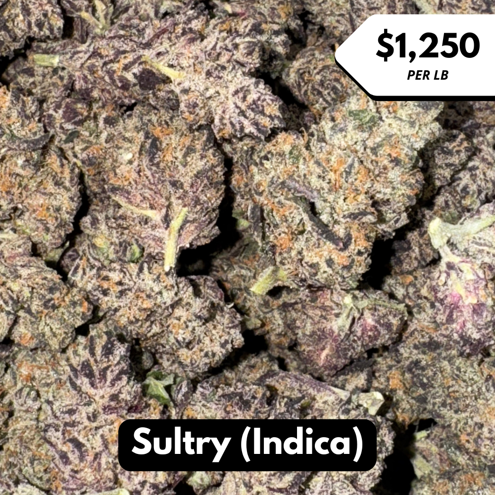 Natural THC-A Flower (Indica ~ Sultry)