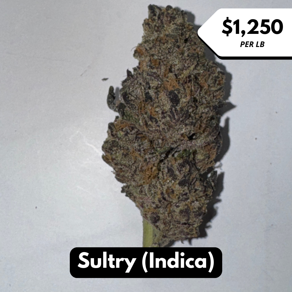 Natural THC-A Flower (Indica ~ Sultry)