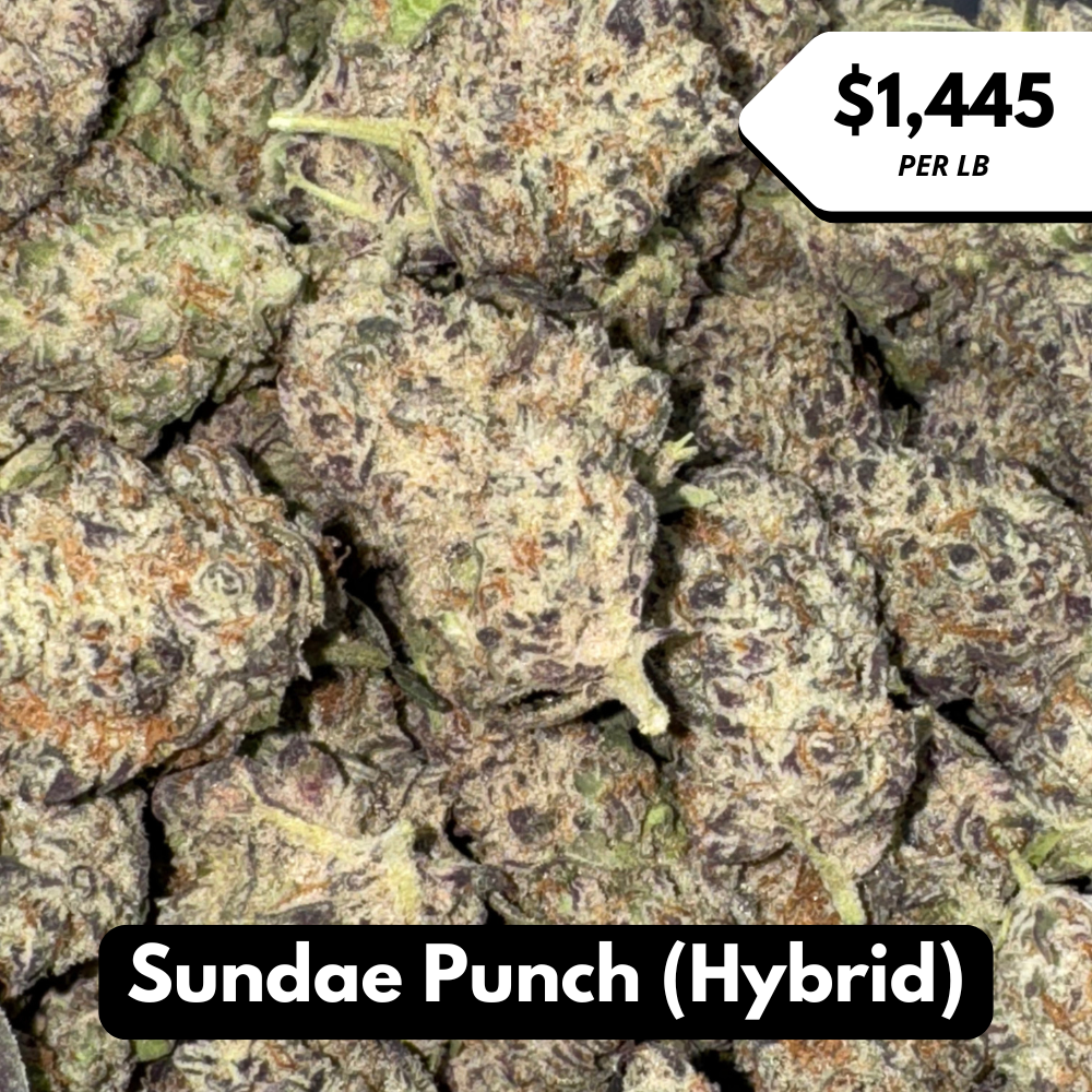 Natural THC-A Flower (Hybrid ~ Sundae Punch)