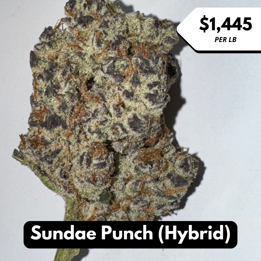 Natural THC-A Flower (Hybrid ~ Sundae Punch)