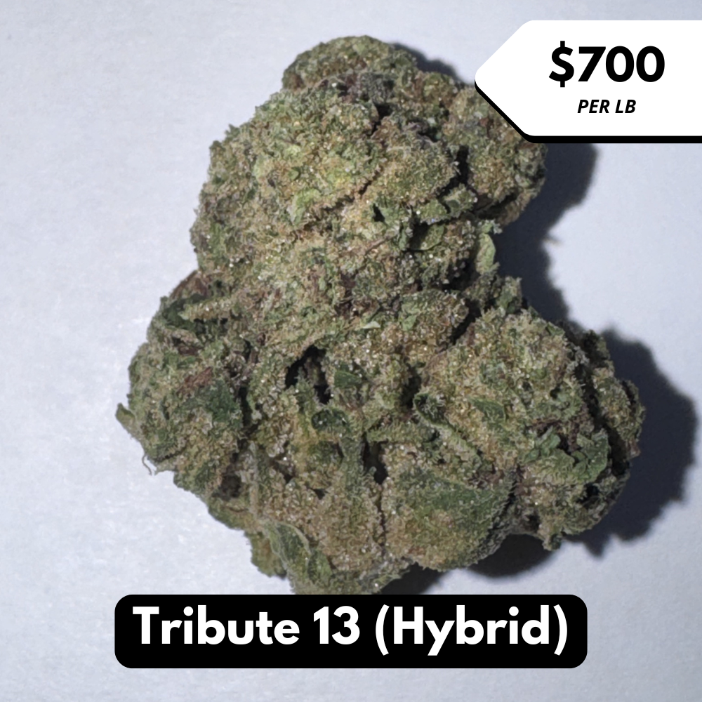 Natural THC-A Flower (Hybrid ~ Tribute 13)