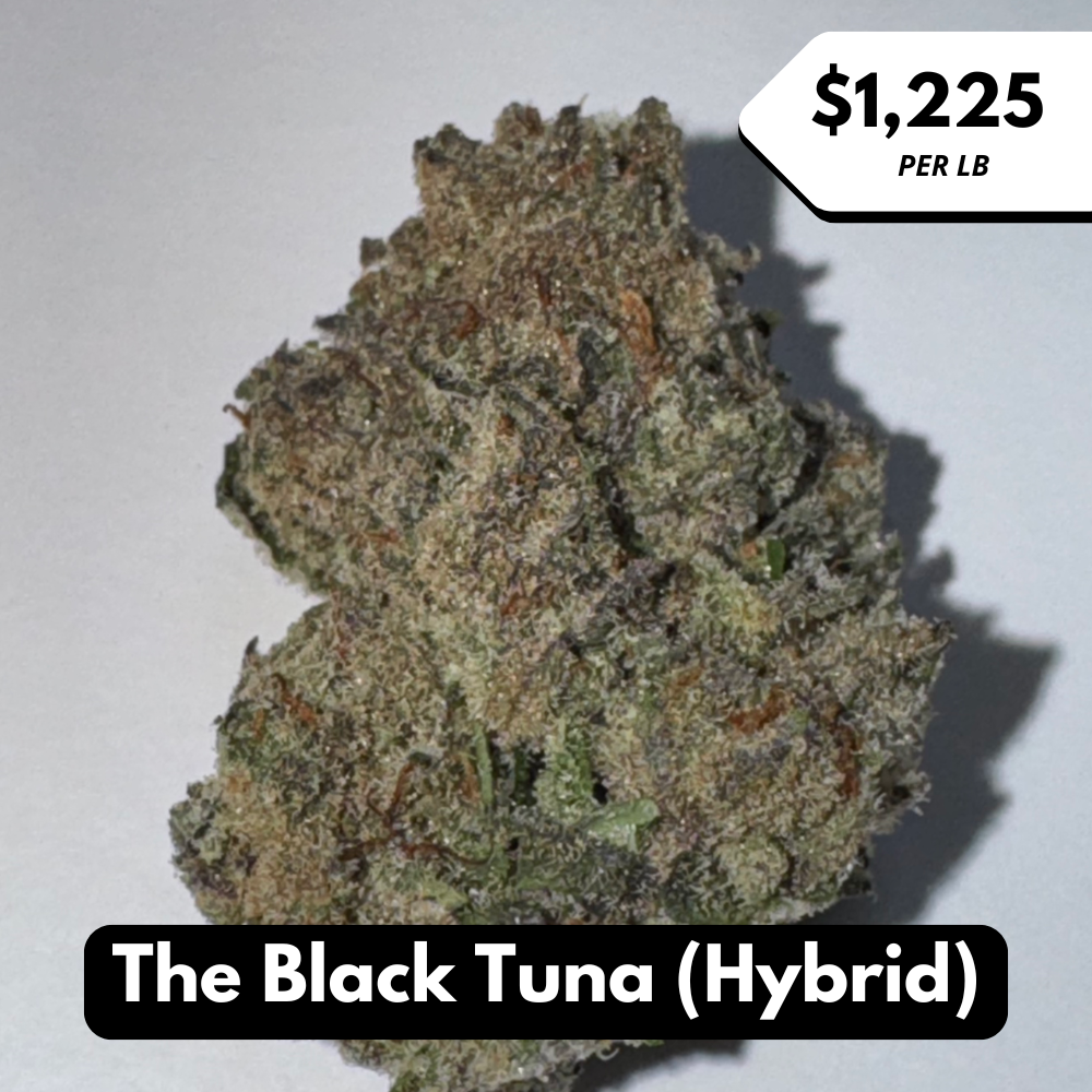 Natural THC-A Flower (Hybrid ~ The Black Tuna)