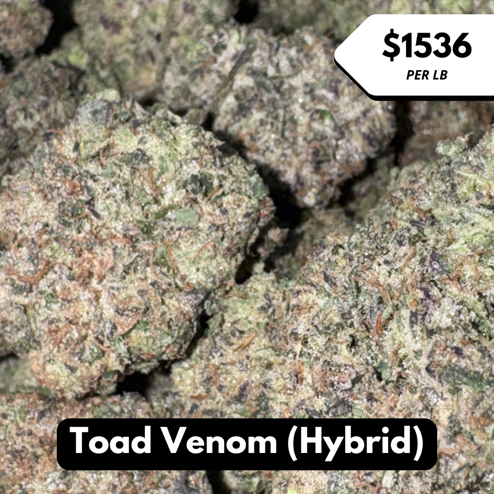 Natural THC-A Flower (Hybrid ~ Toad Venom)