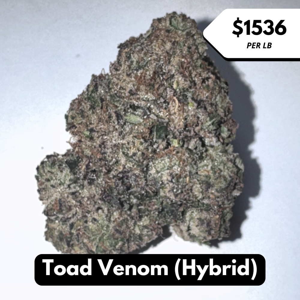 Natural THC-A Flower (Hybrid ~ Toad Venom)