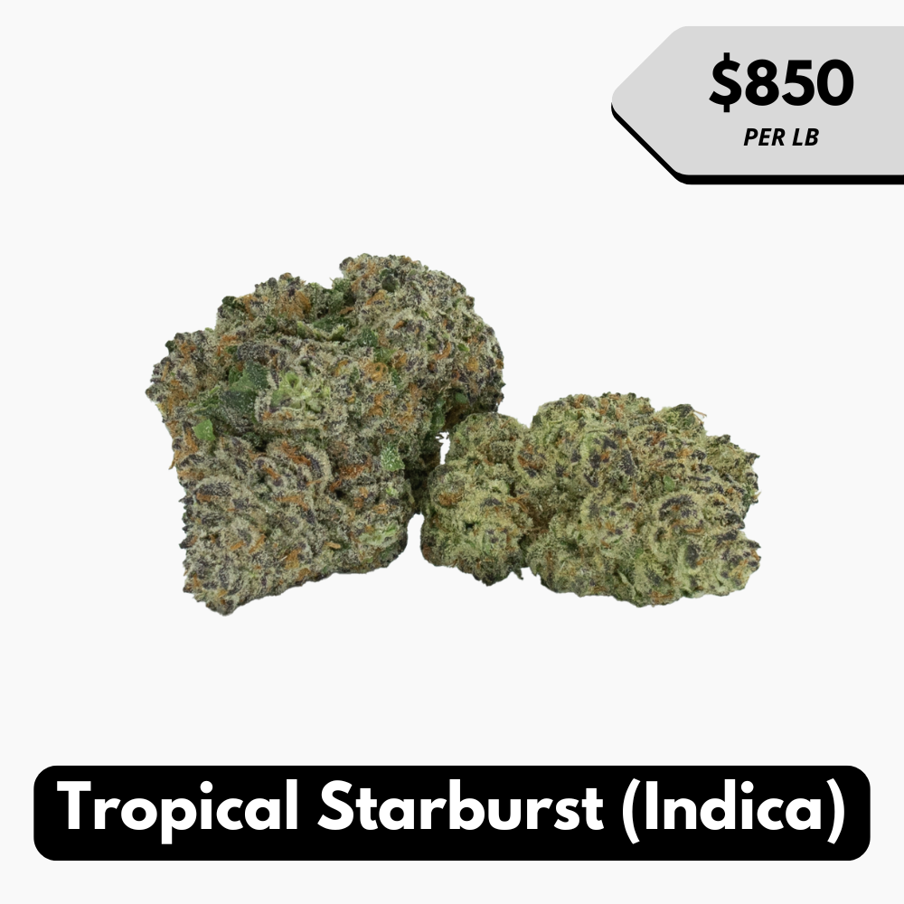 Natural THC-A Flower (Indica ~ Tropical Starburst)