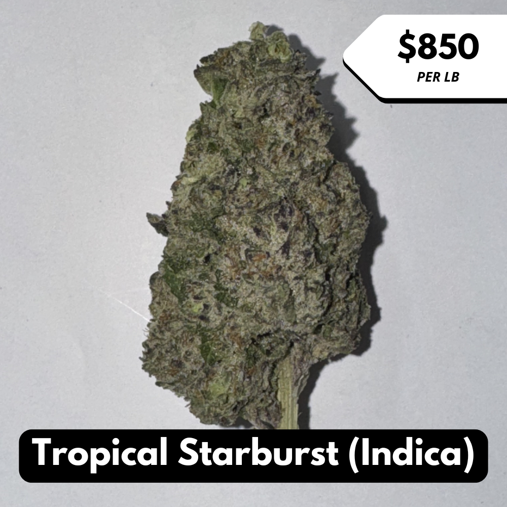 Natural THC-A Flower (Indica ~ Tropical Starburst)