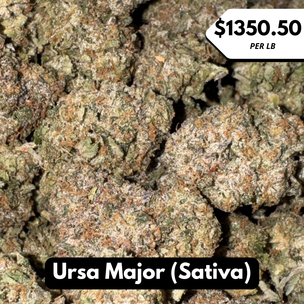 Natural THC-A Flower (Sativa ~ Ursa Major)