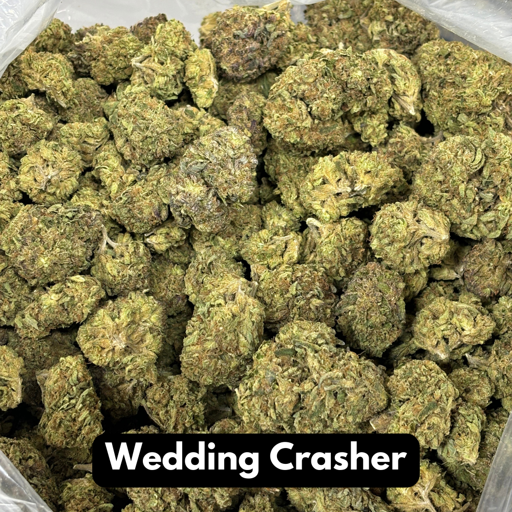 Bulk Natural THC-A Flower (Wedding Crasher)