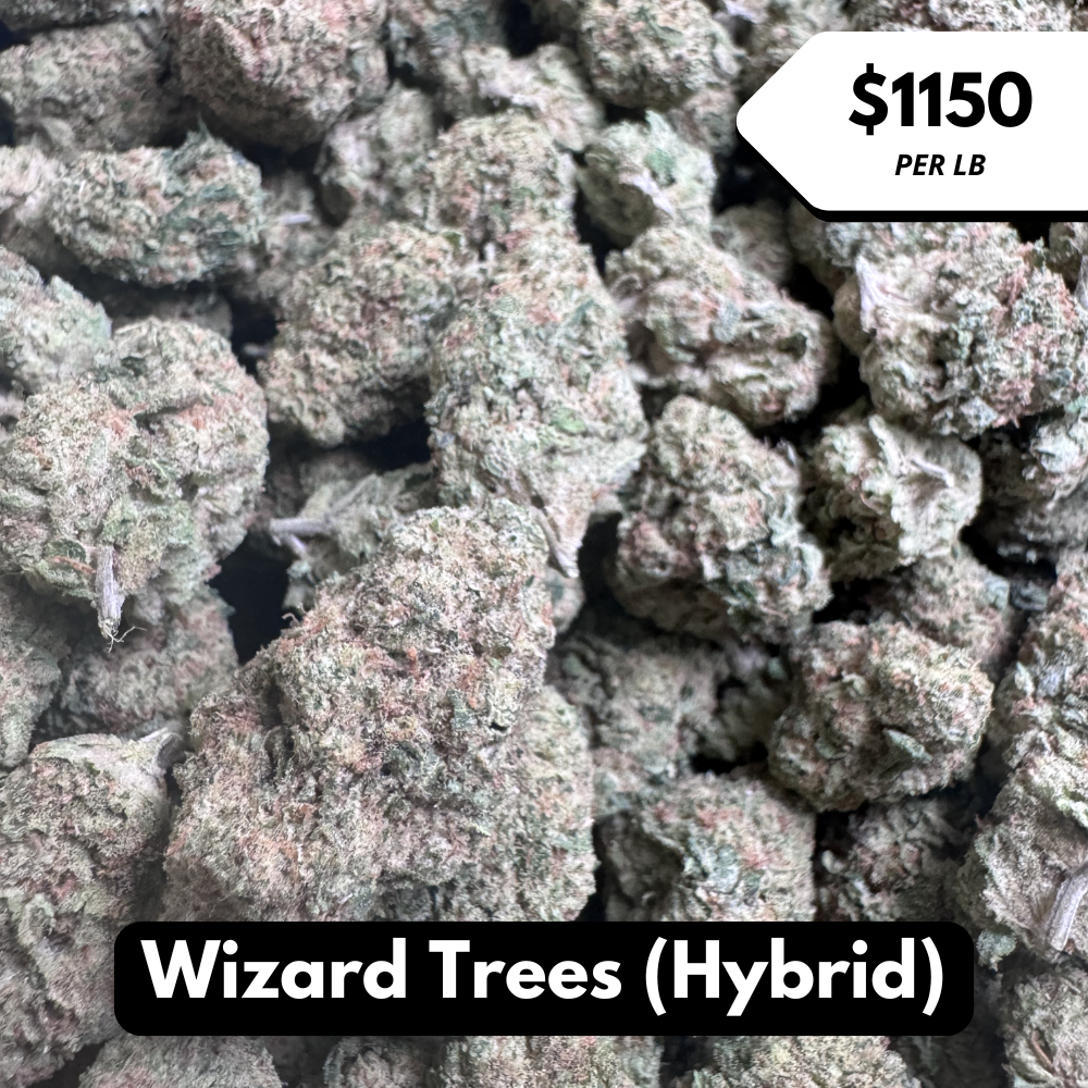 Natural THC-A Flower (Hybrid ~ Wizard Trees)