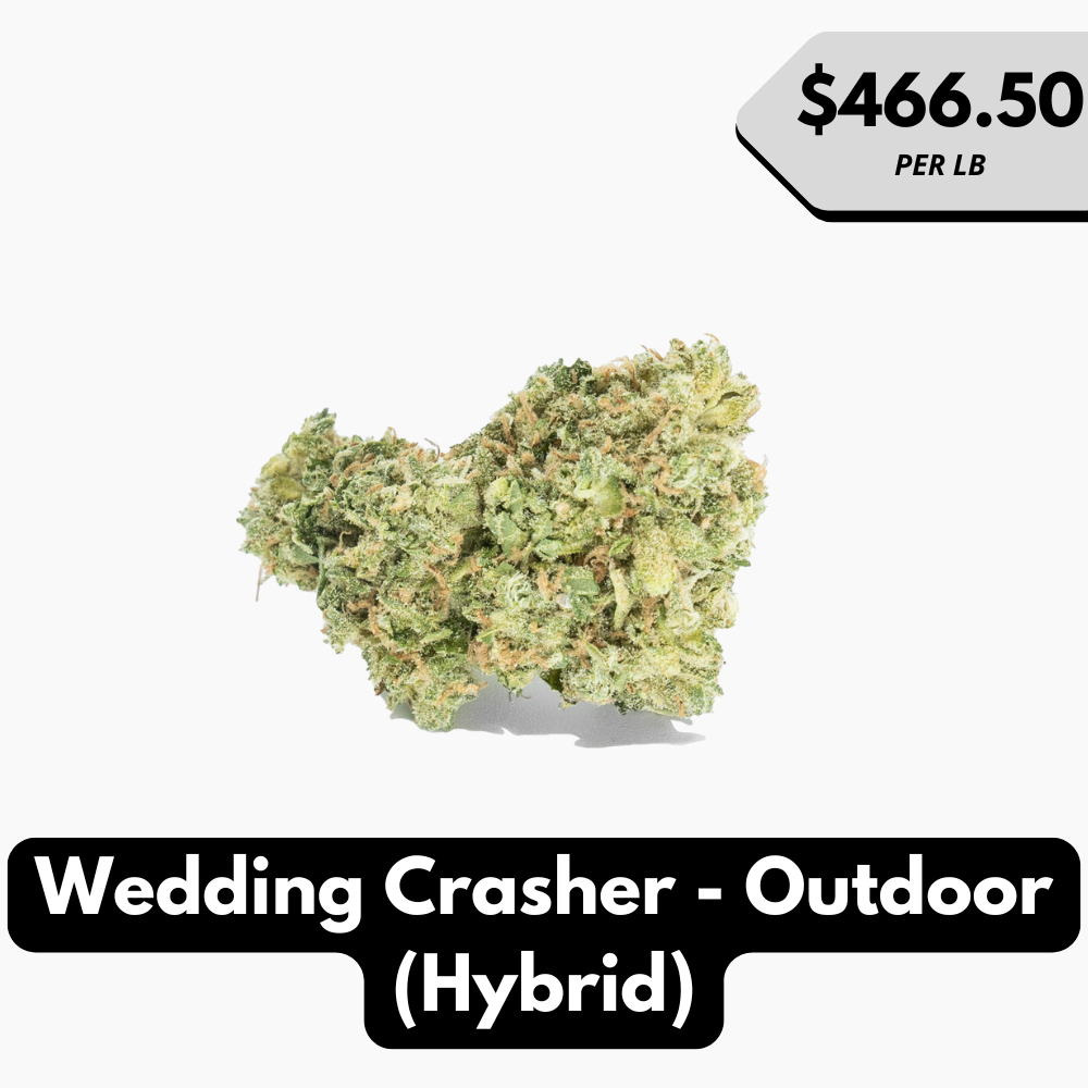 Natural THC-A Flower (Indica ~ Wedding Crasher - Outdoor)