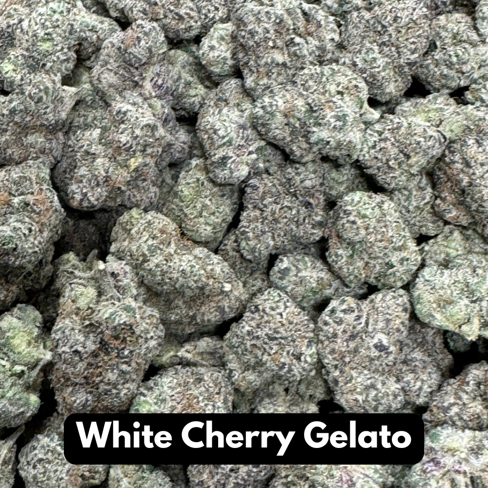 Natural THC-A Flower (White Cherry Gelato)