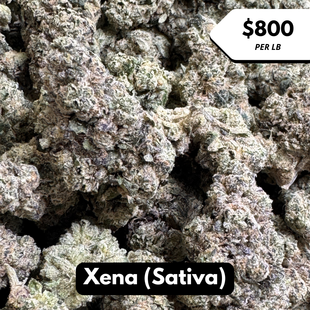 Natural THC-A Flower (Sativa ~ Xena)