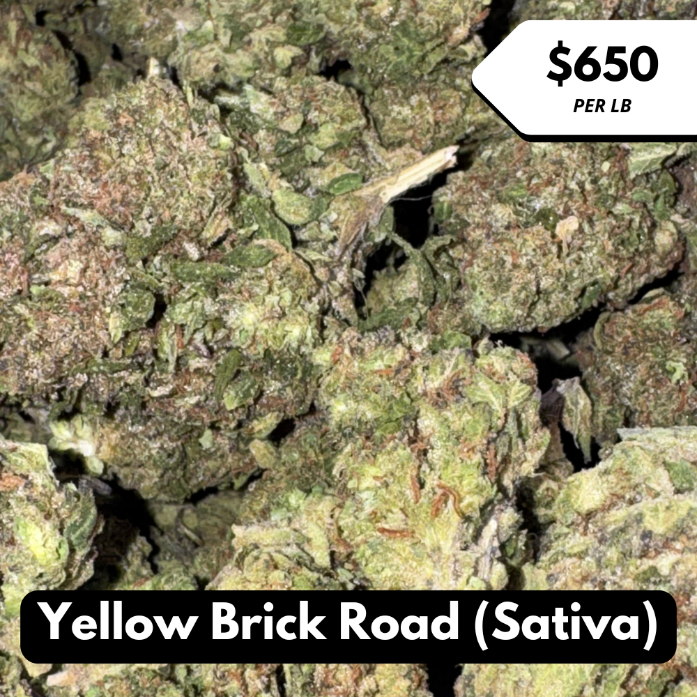Natural THC-A Flower (Sativa ~ Yellow Brick Road)